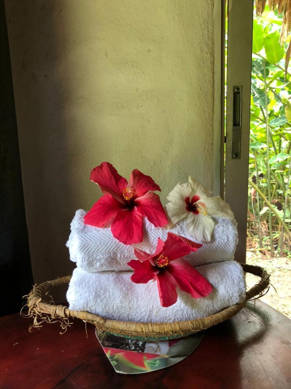 Taironaka Eco Hotel Don Diego 외부 사진